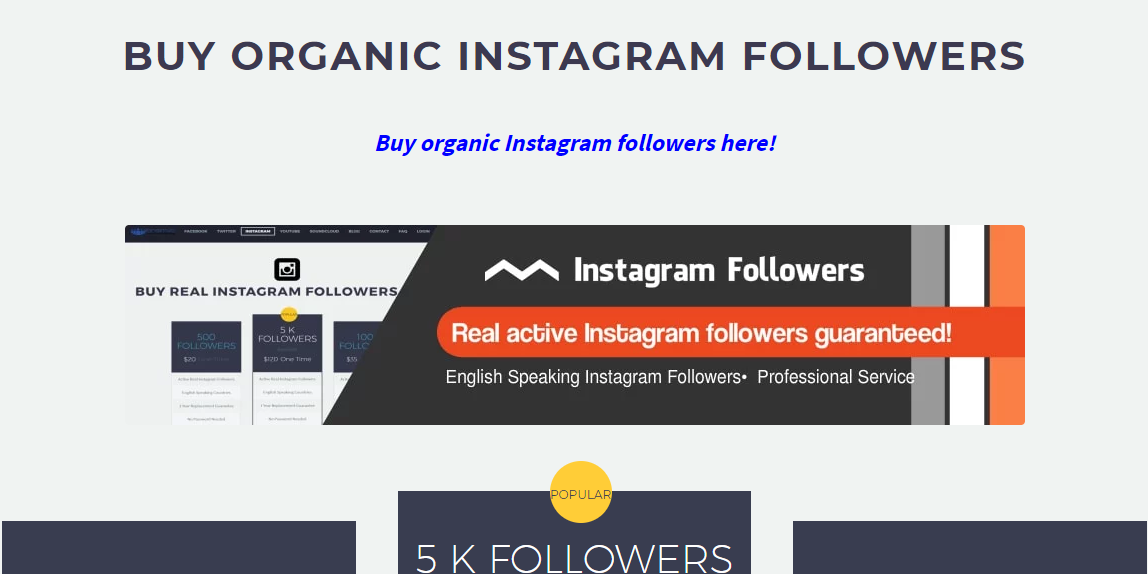 buy real active Instagram followers